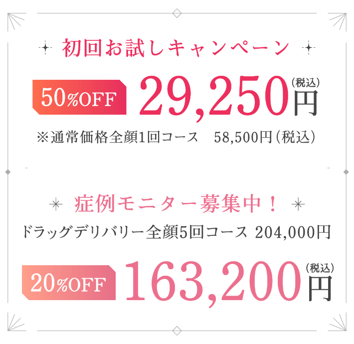 初回お試しキャンペーンは税込29,250円、症例モニターは163,200円です。