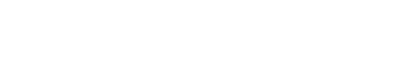 3つ目のポイントは、お肌のお悩みに合わせて使える多様なチップ