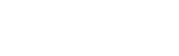 3つ目のポイントは、お肌のお悩みに合わせて使える多様なチップ