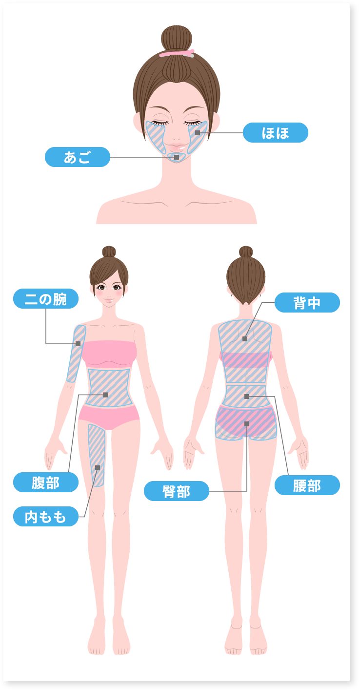 照射可能範囲