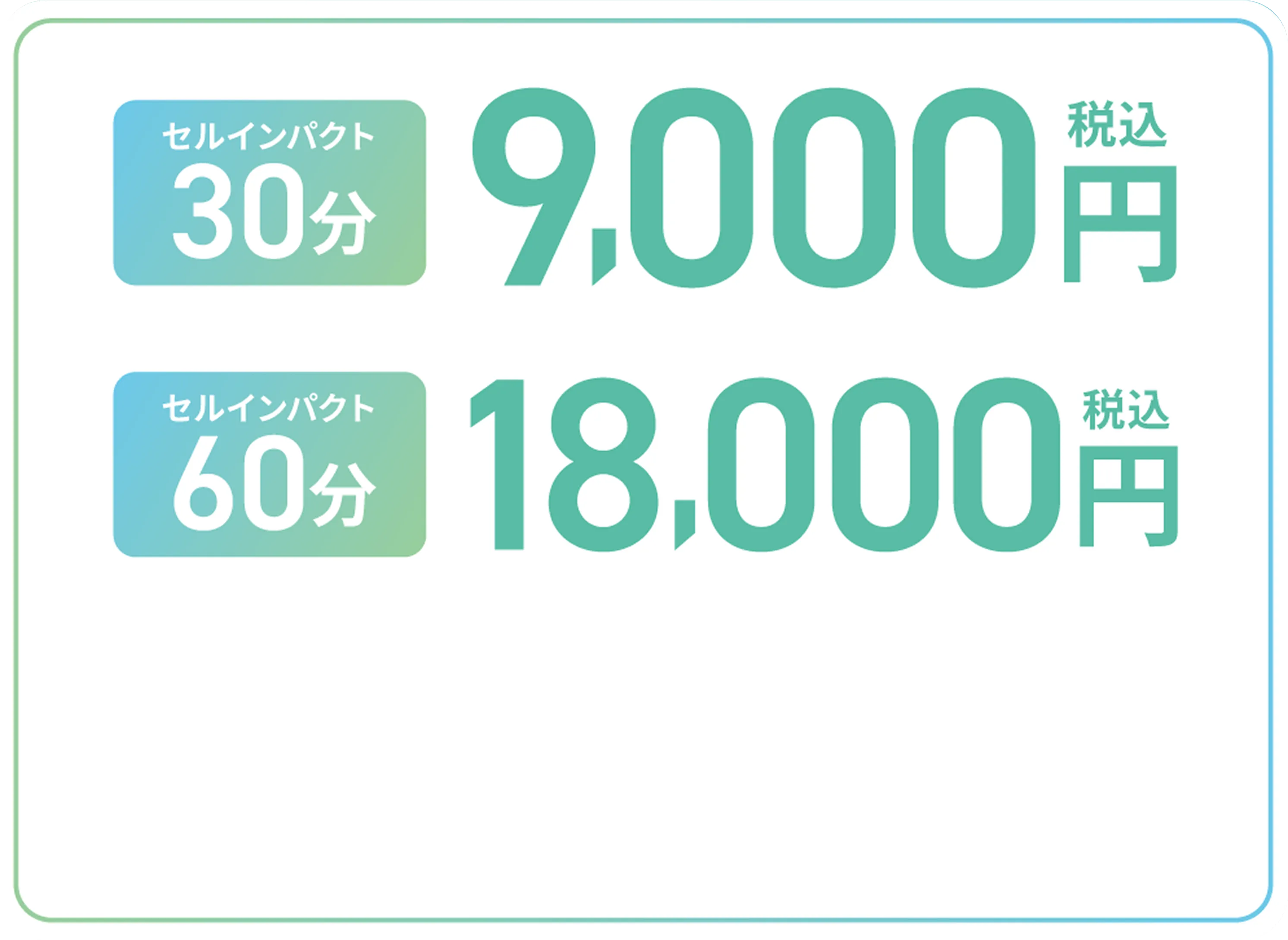 初回価格 9,800円税込み