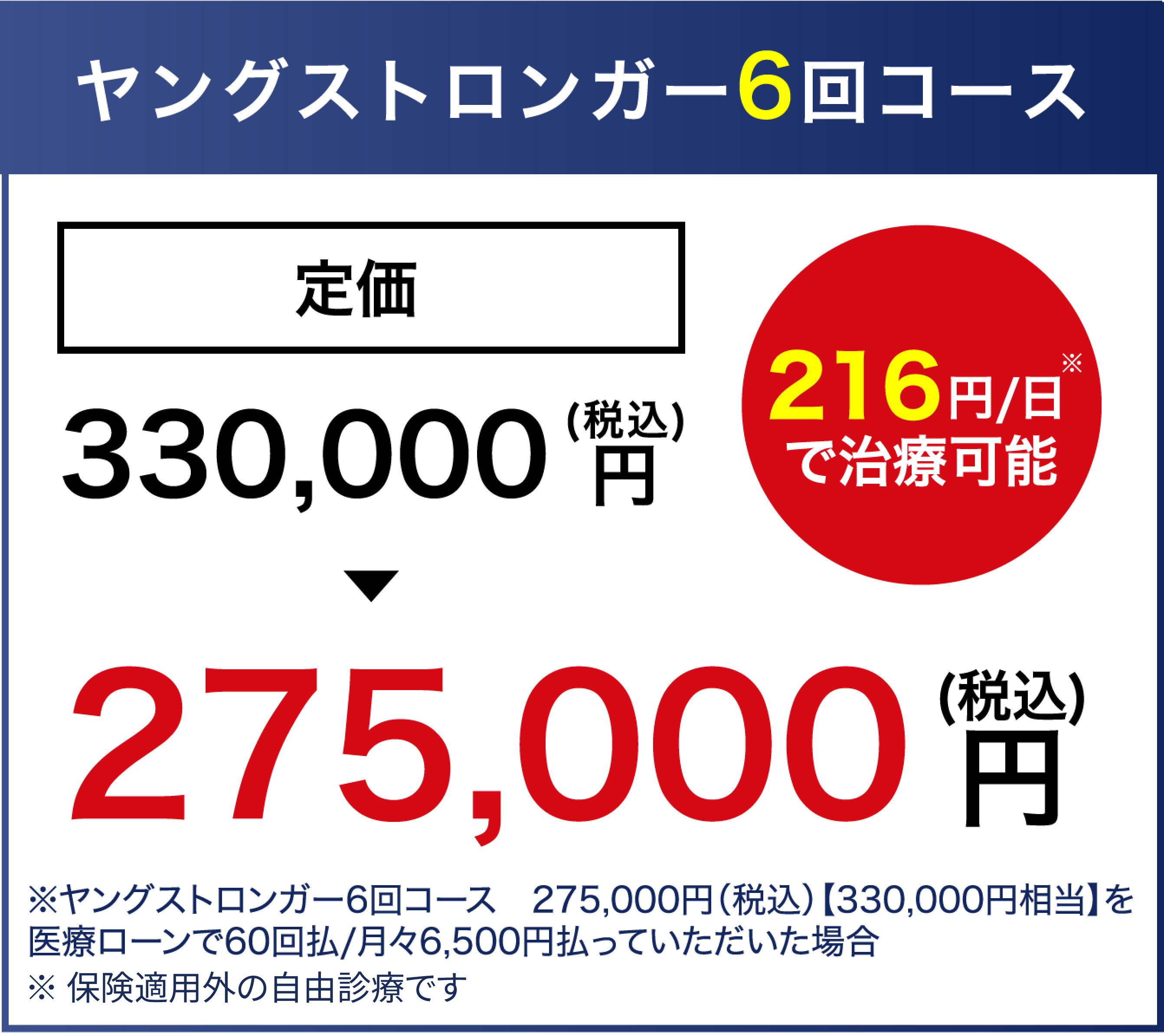 ヤングストロンガー6回コース275,000円