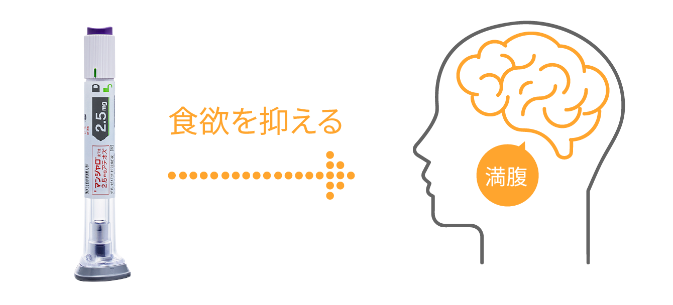 食欲を抑える