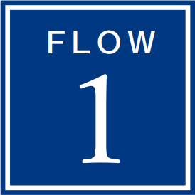 FLOW1