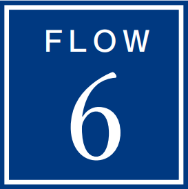 FLOW6